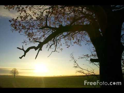 Ronny K. - Morning Light [EOYC 2008 Anthem]