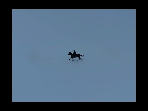 Elliot Maginot - Holy Father