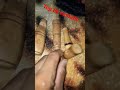 pio de lambu e jurti e perdiz top