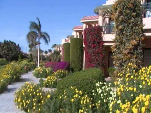 Отель Ali Baba Palace 4*. Территория.