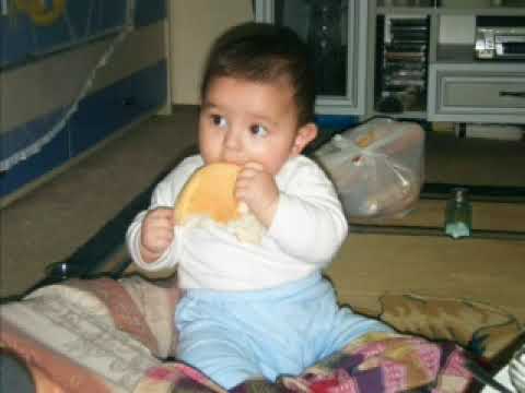 Dinçer Murat - Bir bir erik dalı