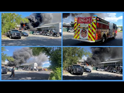 Wayne NJ Fire Dept operates at multiple vehicles on fire 116 Dorsa Ave July 30th 2023