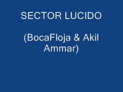 Akil Ammar & BocaFloja - sector lucido