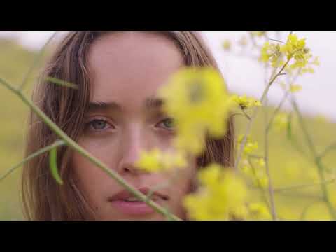 AVB BROTHERS - In the night