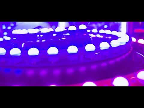 KONNECTKELLZ - INSANE (OFFICIAL MUSIC VIDEO) 🎬 @directedbysimba