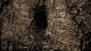 Estatic Fear - As autumn calls