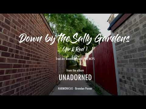 Brendan Power - DOWN BY THE SALLY GARDENS (Air & Reel) - Bikes & Harps Series #25