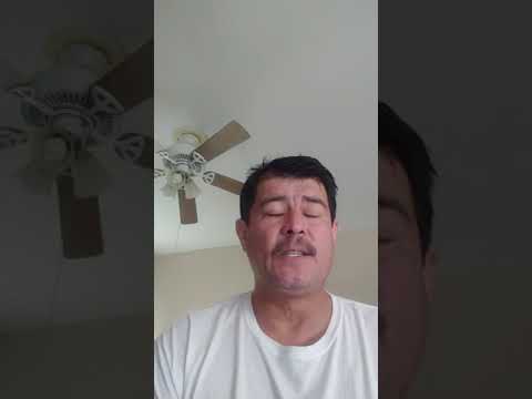 Luis salgado el misterioso. Paloma querida