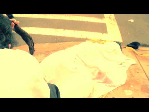 THE PRESIDENT FT GUN PLAY ''HELL OF A HUSTLER