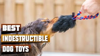 Indestructible Dog Toy : Which are the Best Indestructible D