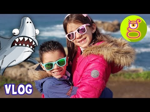 Viaje a Galicia: Visitamos el ACUARIO de La Coruña – Vlog