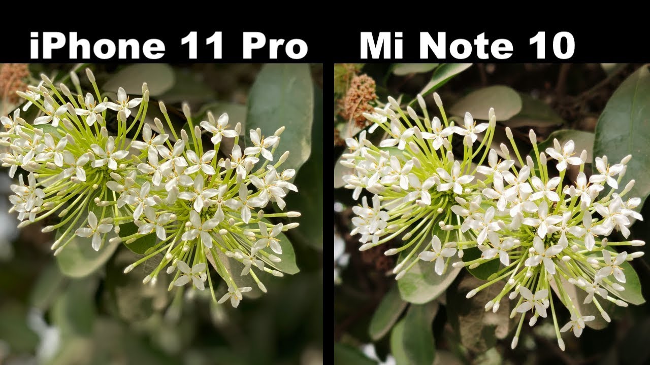 Xiaomi Mi Note 10 vs iPhone 11 Pro Camera Comparison