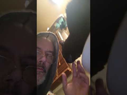 Inky's bathroom raid #cats #adoptstrays #kittens #gatos #neko