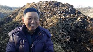 이장집 (371) 에너지 농법 활용(민통선 연구소3)