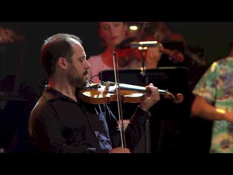 Recomposed by Max Richter - Vivaldi The four seasons spring 1