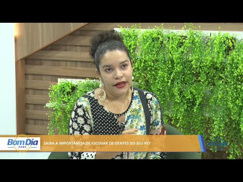 Saiba a importância de escovar os dentes do seu Pet 14 03 2022