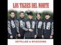 Los Mal Portados Los Tigres Del Norte Album Detalles Y Emociones Año 2007