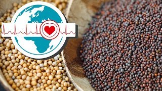 MOSTAZA PROPIEDADES, BENEFICIOS Y CONTRAINDICACIONES