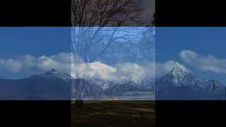 What are you doing the Rest of your Life?★Scott Walker