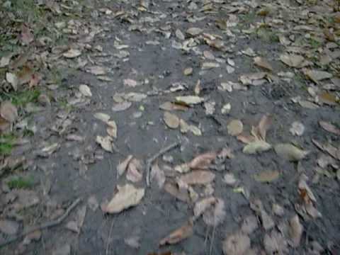 Ryvola - Stará stezka