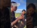 Amala Paul S Breakfast In The Jungle Starsbuzzsouth Amalapaul Latestvideo Southcinema New