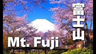 preview picture of video '［HD］Mt. Fuji in UNESCO World Heritage 世界遺産登録の春の富士山と桜（sakura)、忍野村と西湖いやしの里根場 日本の桜  花の名所案内'