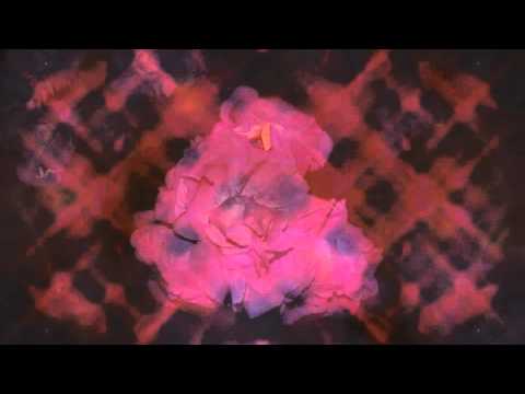 Eva Soul - The Rose (DJ XFader Jungle Remix)