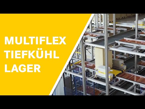 DAMBACH MULTIFLEX pallet-shuttle-system im Tiefkühllager