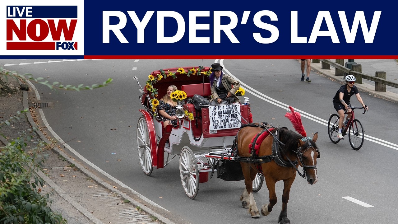 Death of NYC carriage horse sparks renewed calls for ban