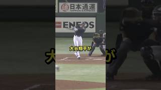 オランダ戦で大谷翔平が魅せたとんでもない一打 #プロ野球 #大谷 #大谷翔平 #侍ジャパン #short