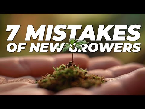 7 Common Mistakes of New Cannabis Growers and How to Avoid Them