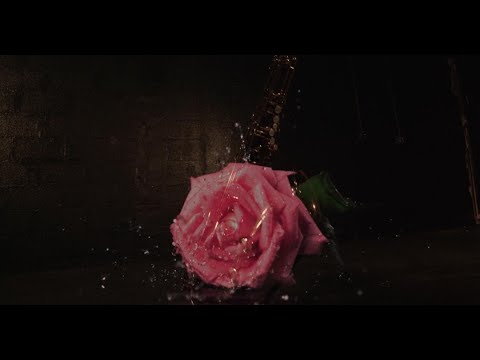 Ed Calle - Desert Rose (Official Music Video)