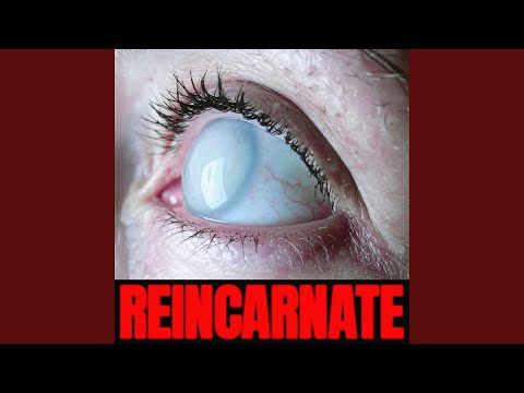 Reincarnate