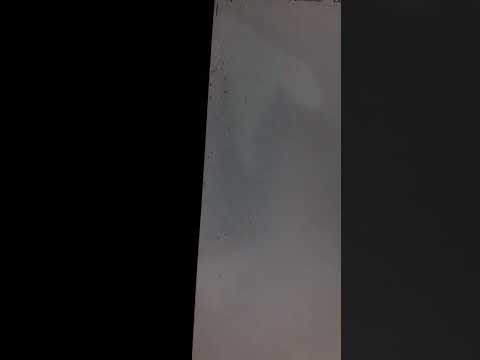 Formigas entraram dentro do meu monitor e fizeram isso, coisas que só acontecem comigo.