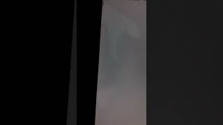 Formigas entraram dentro do meu monitor e fizeram isso, coisas que só acontecem comigo.