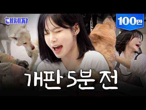 왈왈왈왈! 강아지와 동기화 된 나경 | 대체자 EP.02 | 트리플에스 나경