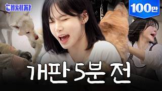 Woof woof woof! Nakyung synced with a dog | The Substitute EP.02 | tripleS Nakyung