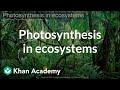 Photosynthesis in ecosystems | Middle school biology | Khan Academy