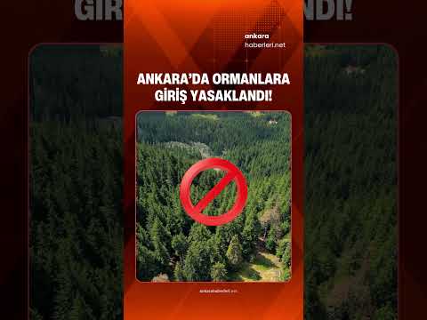 Ankara’da Ormanlara Giriş Yasaklandı: Valilikten 4 Aylık Kritik Karar!