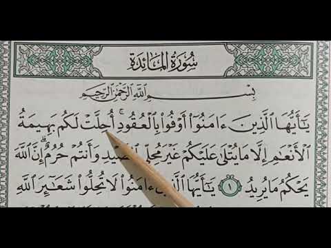 Belajar Ngaji QS Al-Maaidah (5) ayat 1