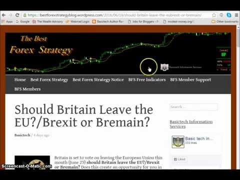 Should forex be capitalized