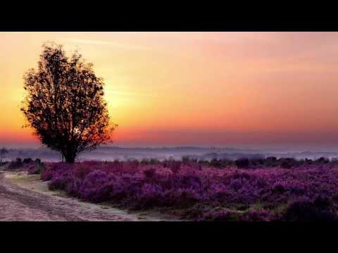 Dan Stone - Macy [FSOE187]