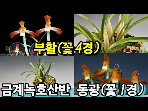 유튜브 썸네일