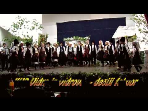 Susreti sela Negotin 2016  KUD Vidra iz Vidrovca  dečiji folklor