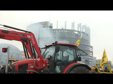 Video | Dermatitis, Mercosur: farmers protest outside European Parliament | AFP