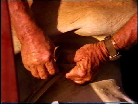 Outback Story ABC TV Australia Documentary 1993