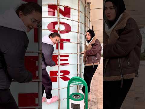 عفراء وسما جبناء بخافوا من القطة و صرصور 😱 علقوا على حيط 🤯 #haya_family #comedy #funny #shorts