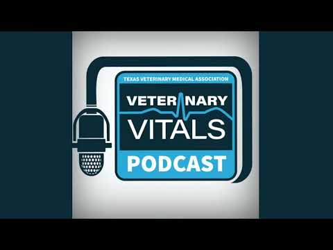 Episode 1: Redefining Success in Veterinary Medicine