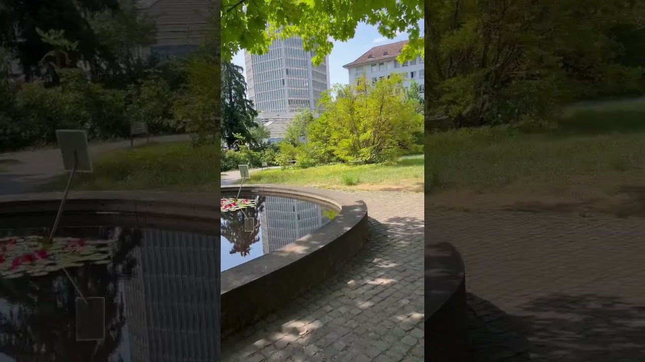 YouTube Short thumbnail