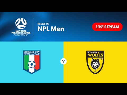 NPL Men Round 16 - Brisbane City vs. Wynnum Wolves